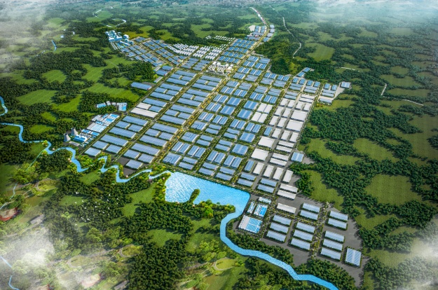 金誠國際經(jīng)濟(jì)產(chǎn)業(yè)園